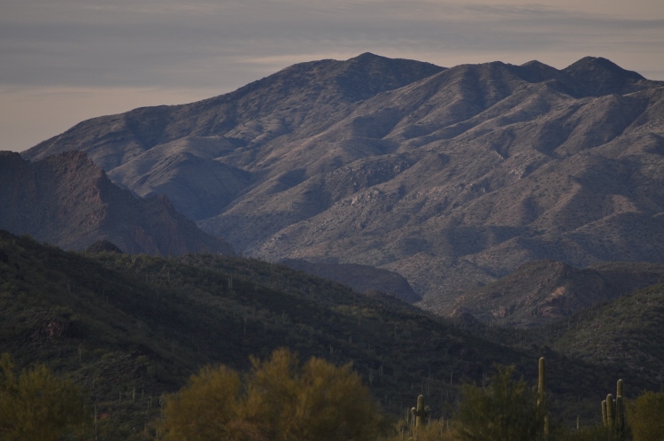 the Bradshaw Range